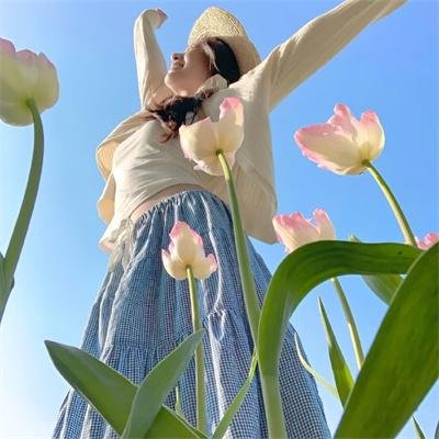 刑事7人 第四季